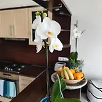 Csendes Békés Belvárosi Lakás, Nagy Terasszal Appartement