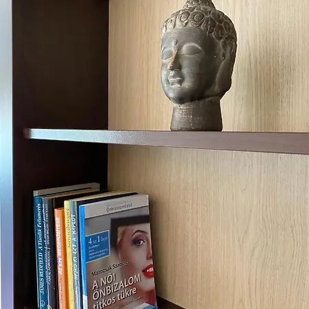 Csendes Bekes Belvarosi Lakas, Nagy Terasszal アパート