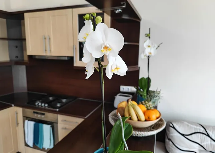 Csendes Bekes Belvarosi Lakas, Nagy Terasszal Apartament